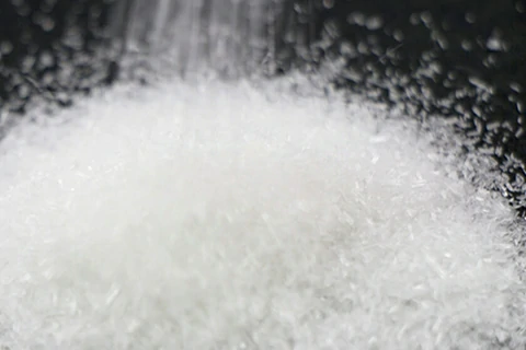 Everllence Wins First PARSYN Order for AM Green's Green Ammonia Project in India